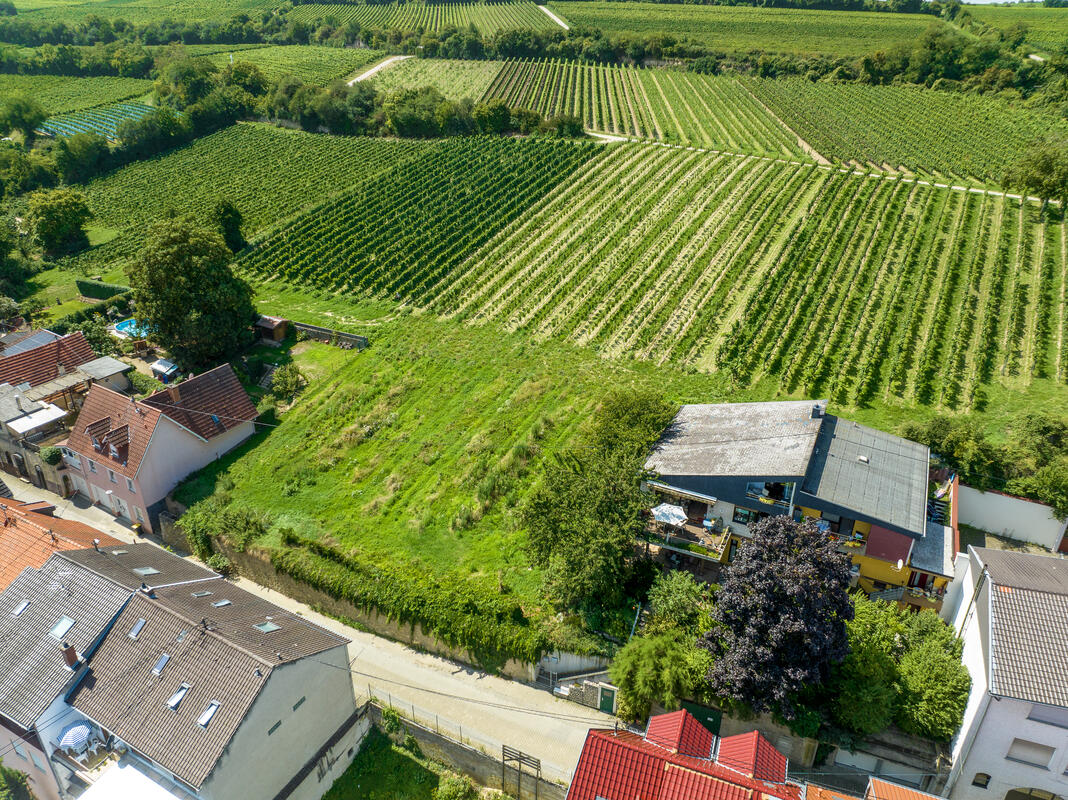 Seitenansicht des Grundstücks