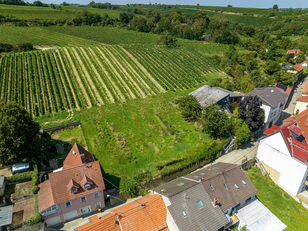 Drohnenaufnahme — Grundstück eingebettet zwischen Dorf und Reben