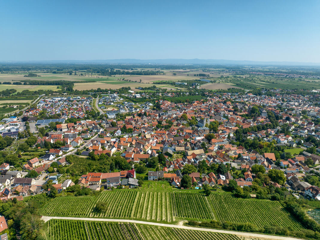 Nahaufnahme der Grundstücksfläche