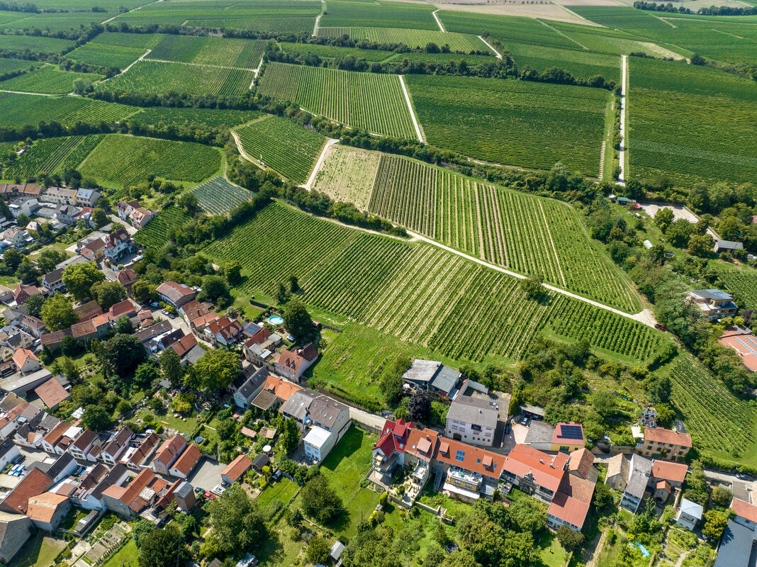 Luftaufnahme — Kellerweg 21, Grundstück zwischen Weinbergen und historischem Ortskern Guntersblum